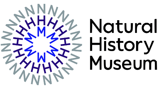 Client Name 2